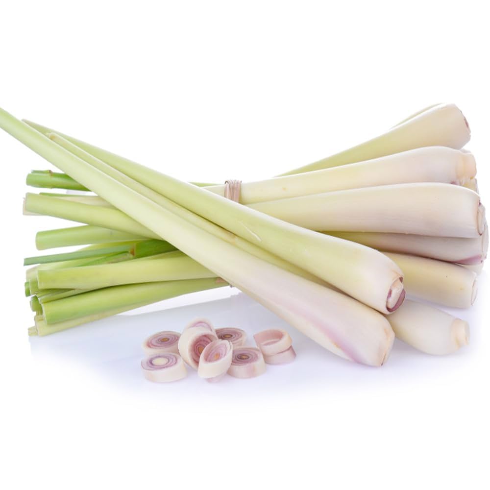 Amazon.co.jp: MDSTORE ベトナム産新鮮レモングラス(500g/パック